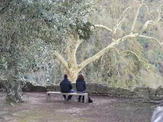 Cavaleiros De Cristo Otel 2*